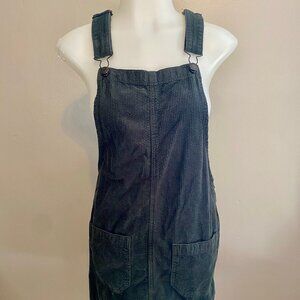 American Eagle Corduroy Bib Dress